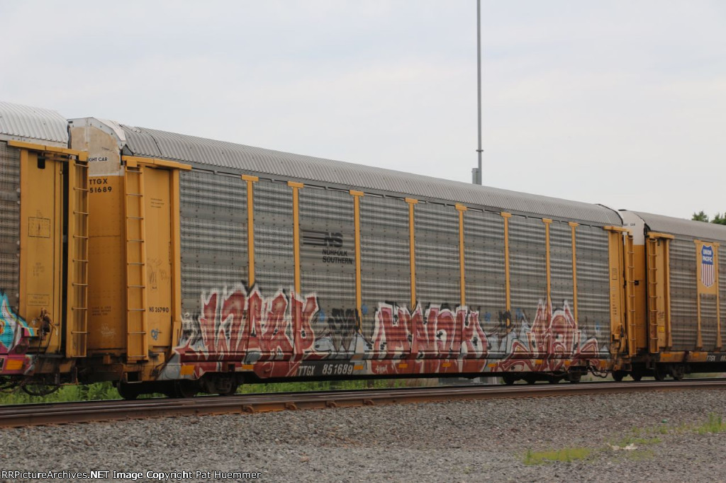 TTGX 851689