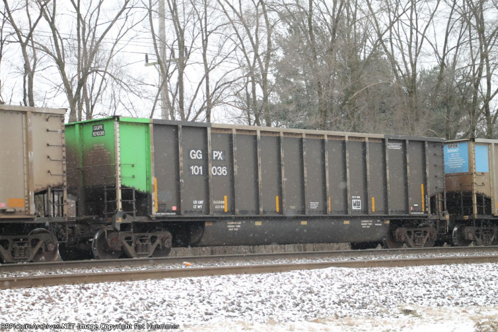 GGPX 101036
