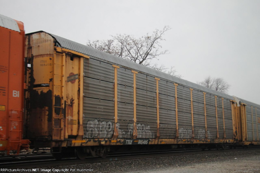 TTGX 965495