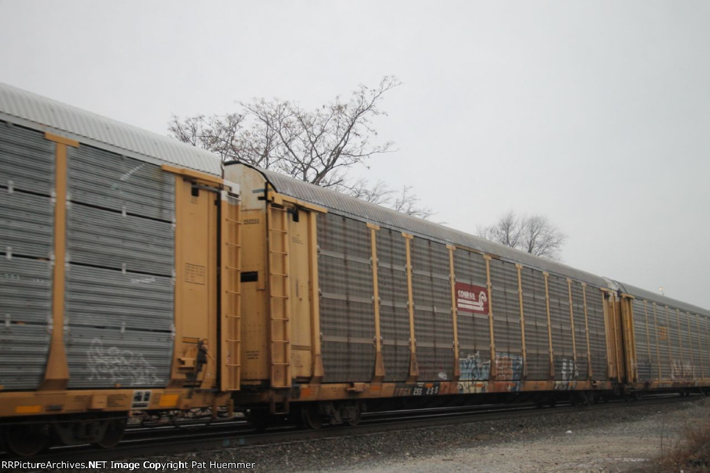 TTGX 255255