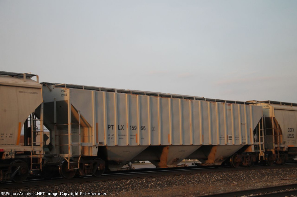 PTLX 15966