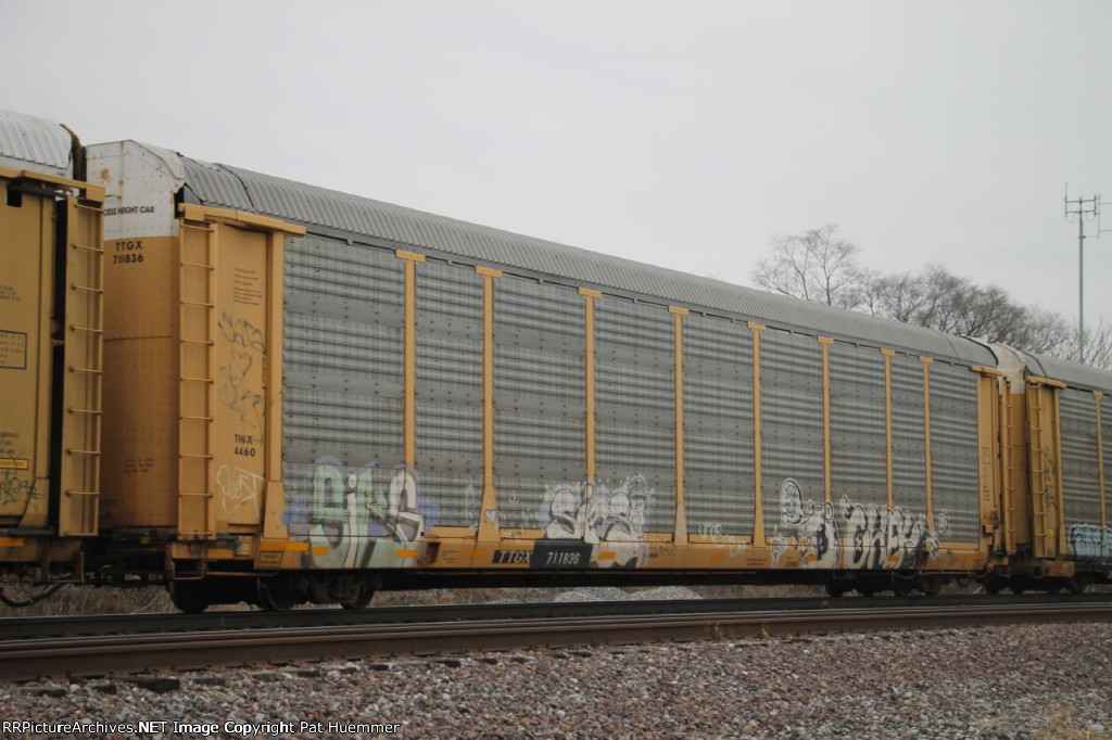 TTGX 711836