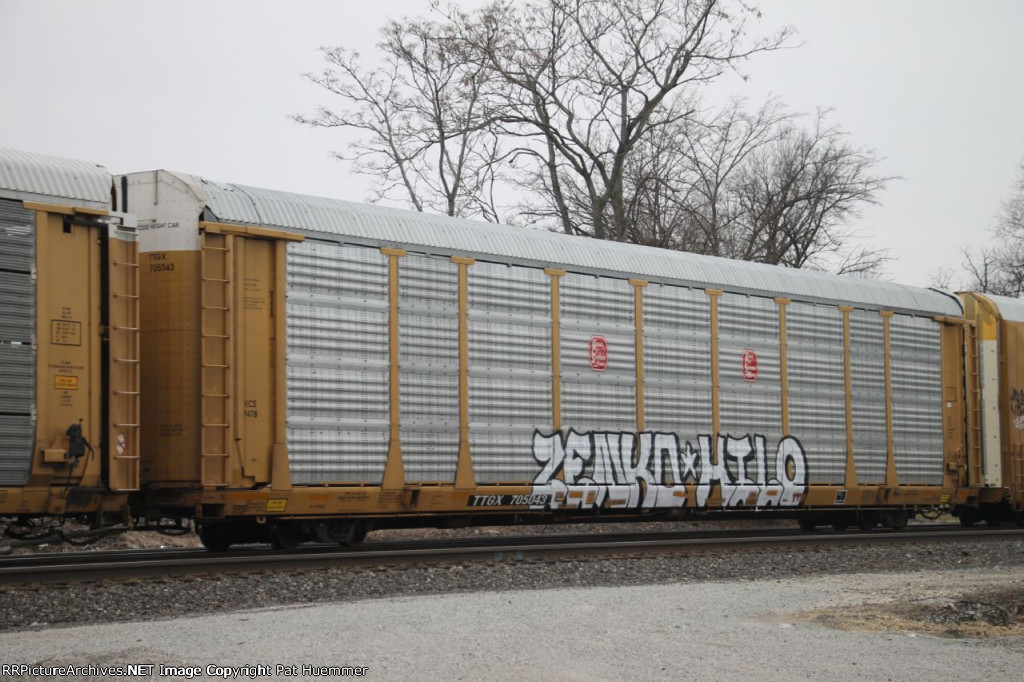 TTGX 705043
