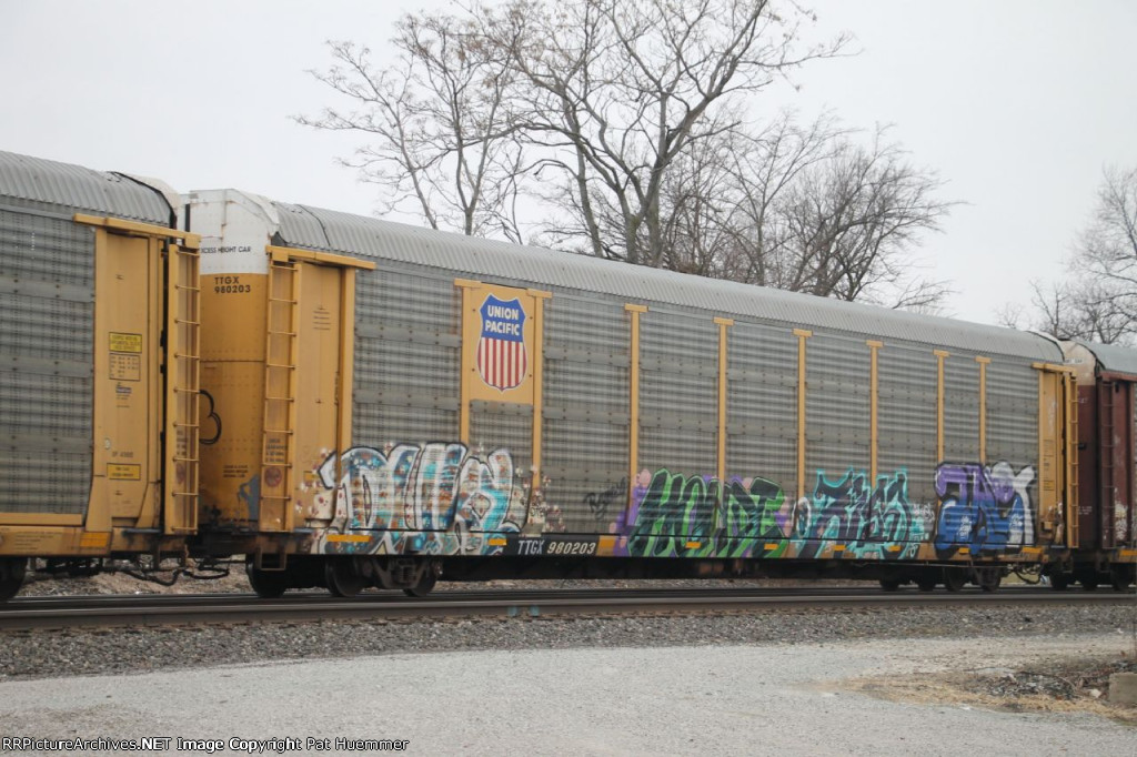 TTGX 980203