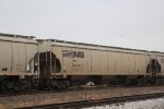 NS 295197