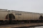 NS 296573