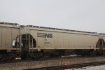 NS 295270