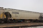 NS 295295