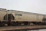 NS 294852