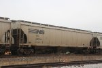 NS 297742