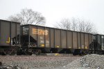 NS 300788