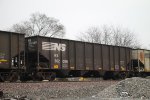NS 302089