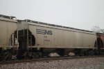 NS 298019