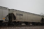 NS 297635