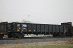 NS 210808