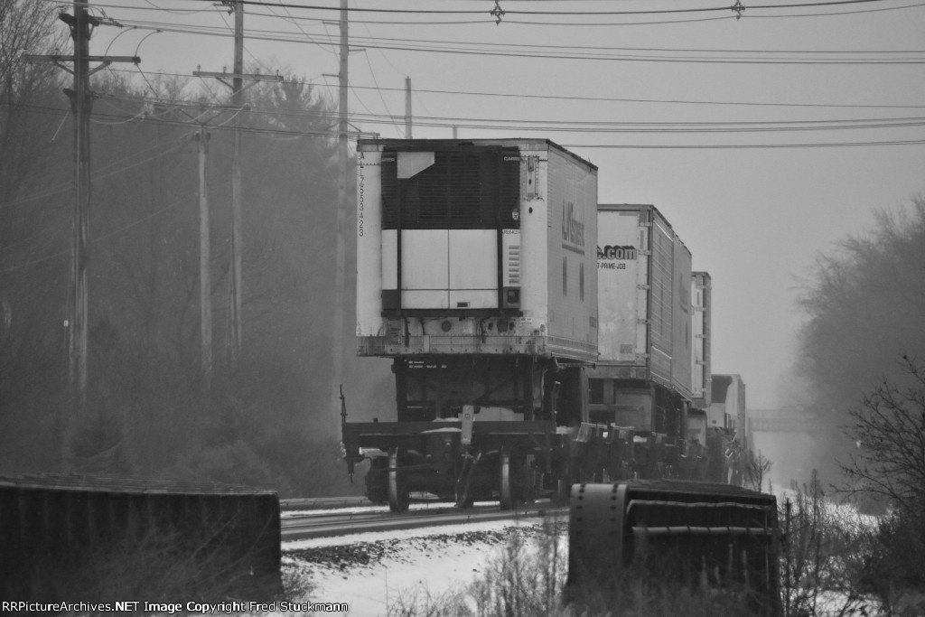 ALLZ 553423 is new to rrpa on this Black & White day.