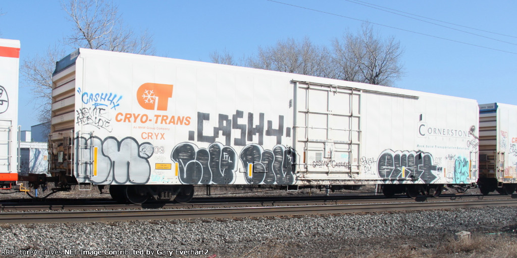 CRYX 3503 - Cryo-Trans Inc