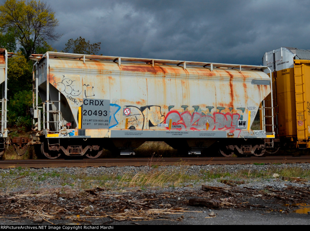 CRDX 20493