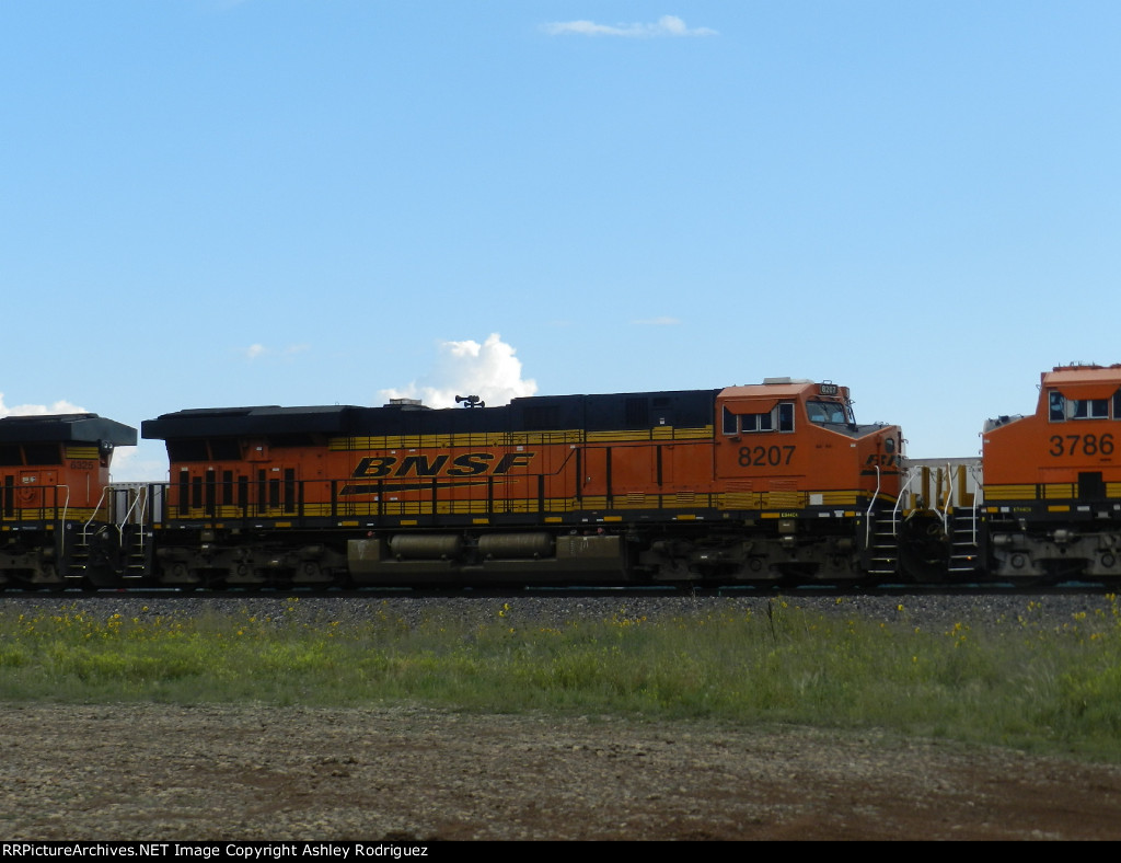 BNSF 8207