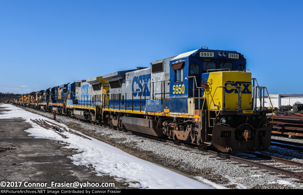 CSX 5950