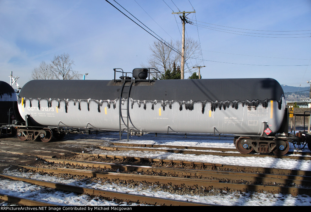 CGTX 31273