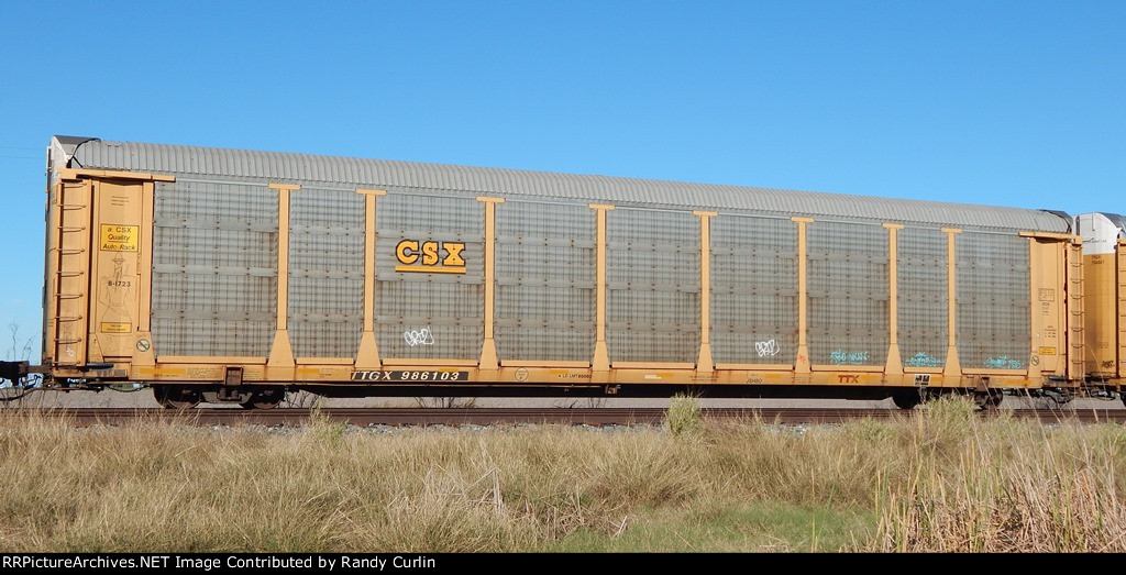 TTGX 986103