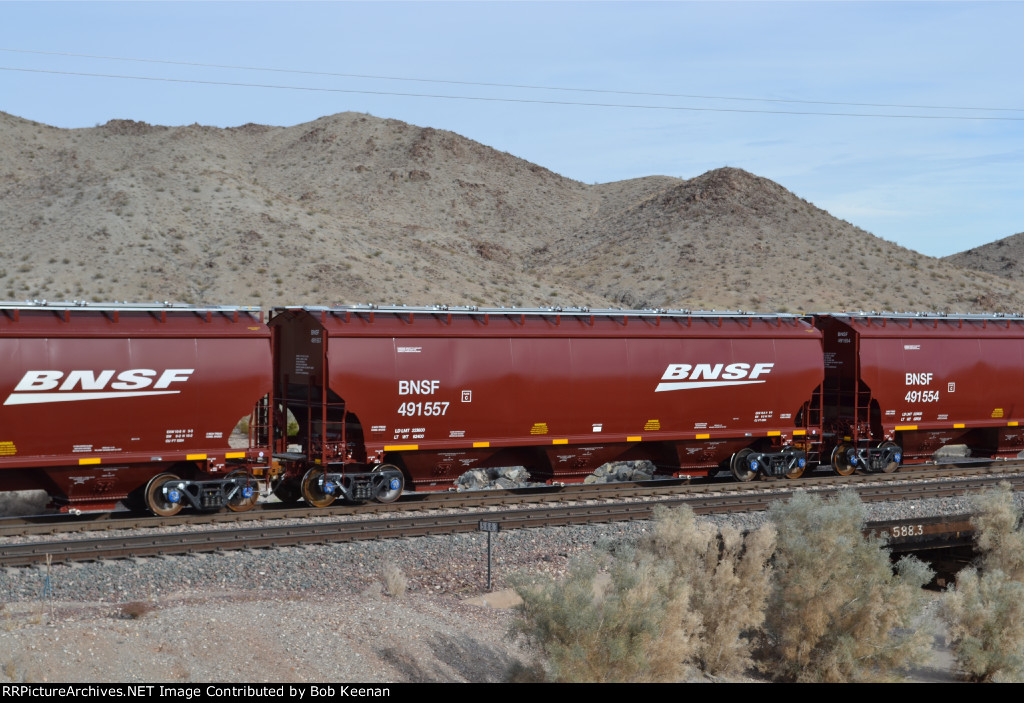 BNSF 491557