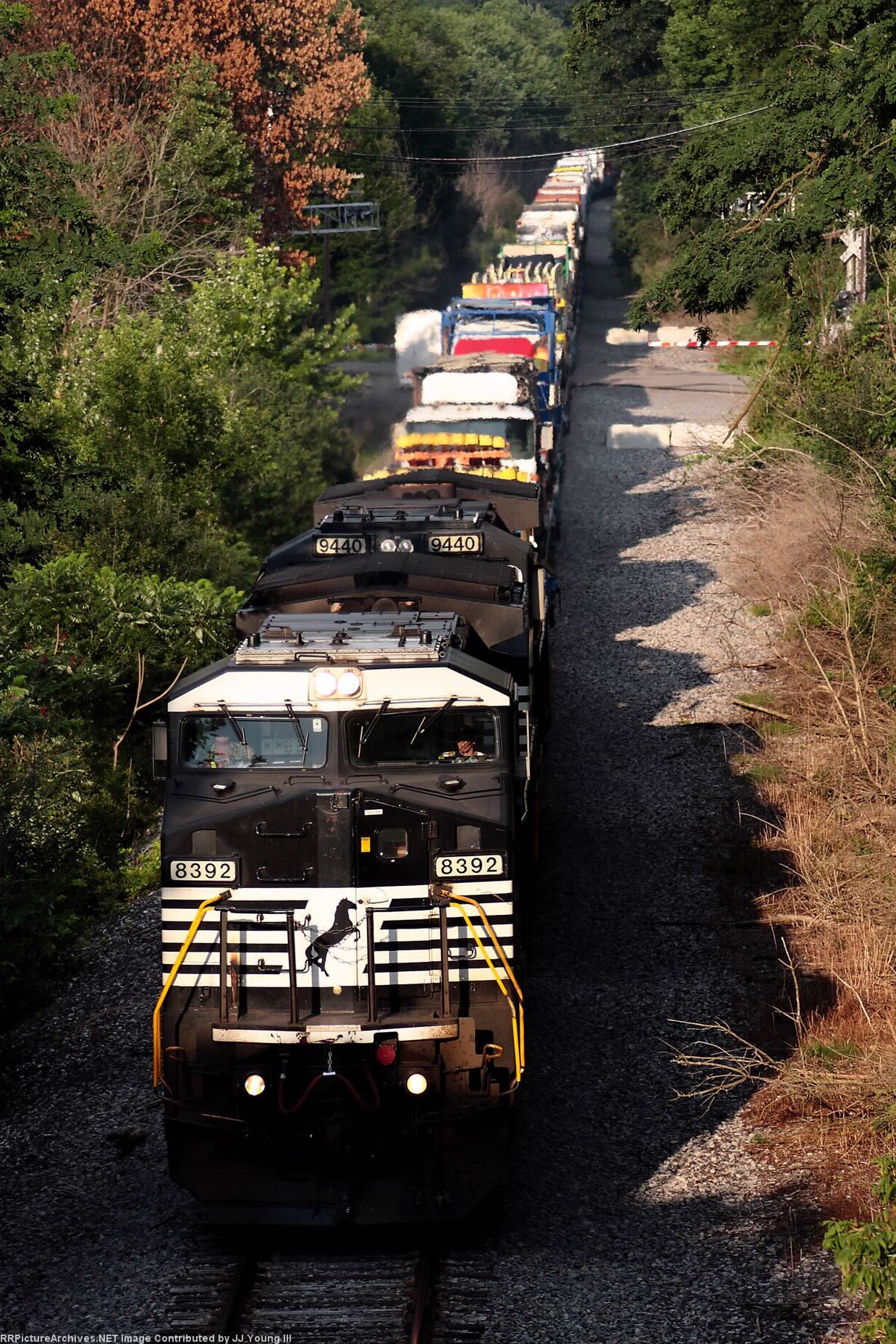 Another Day in the park