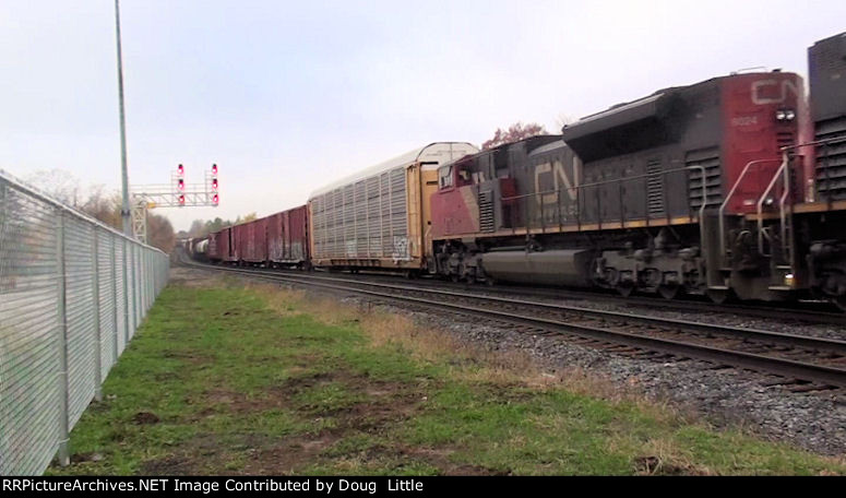 CN 8024