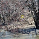 Cincinnati Northern bridge abutment