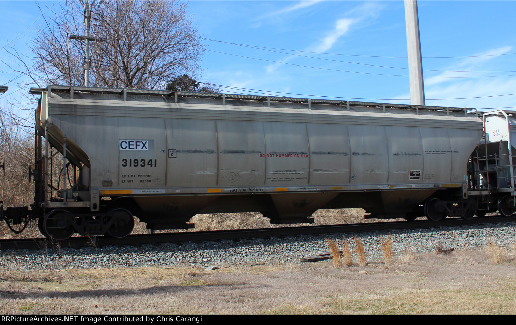 CEFX 319341