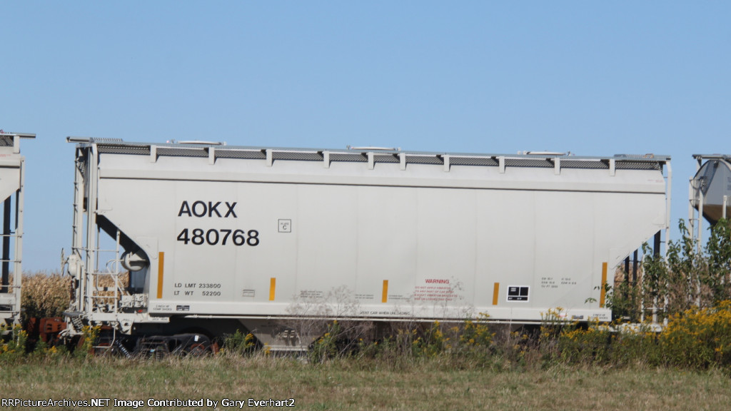 AOKX 480768 - Greenbrier Management Service