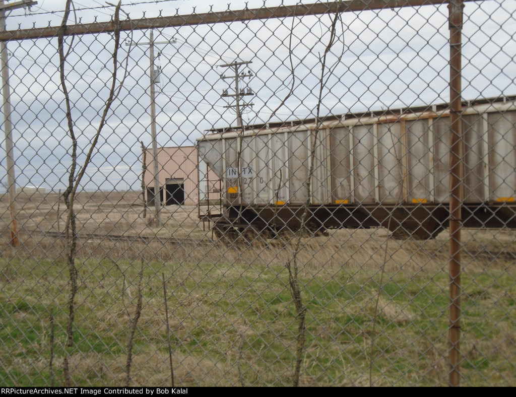  1 of 2 Hoppers trapped inside fence of Abandond Trailermobile Factory