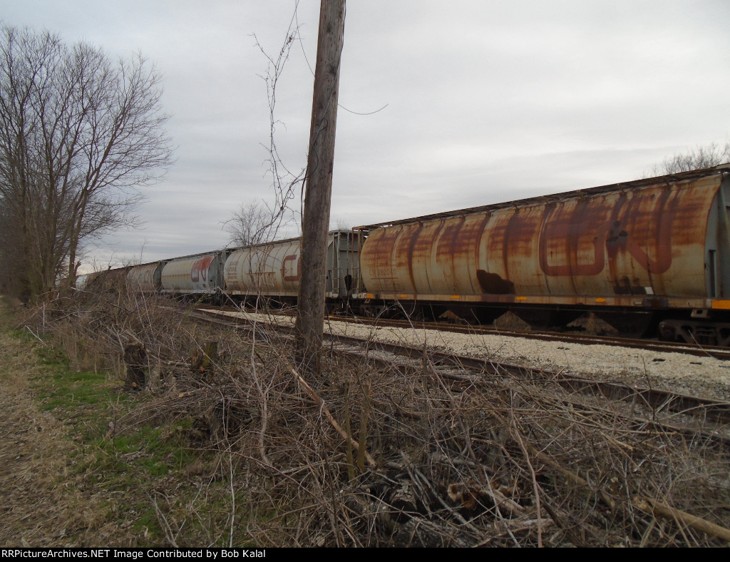 East Side  Looking South down Yard Tracks