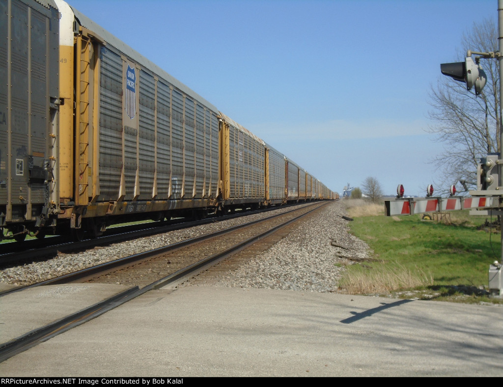 NS 7693 pulling a wall of auto racks