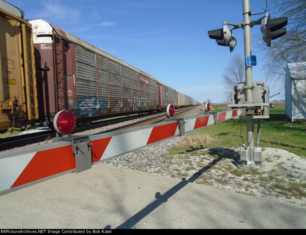 NS 7693 pulling a wall of auto racks