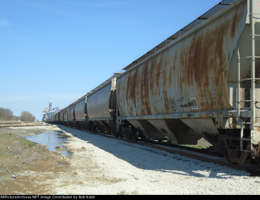 Milmine Grain Elevator storage & passing tracks