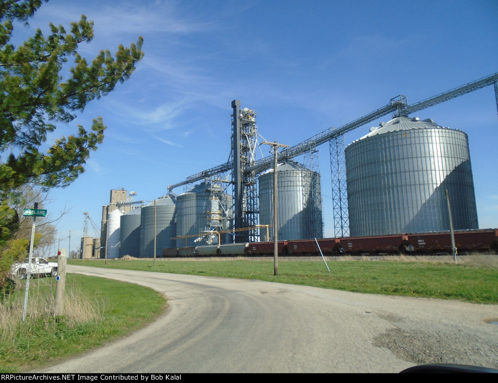 Milmine Grain Elevator looking East
