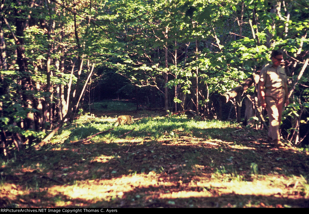 Allegheny Portage Railroad, 1972