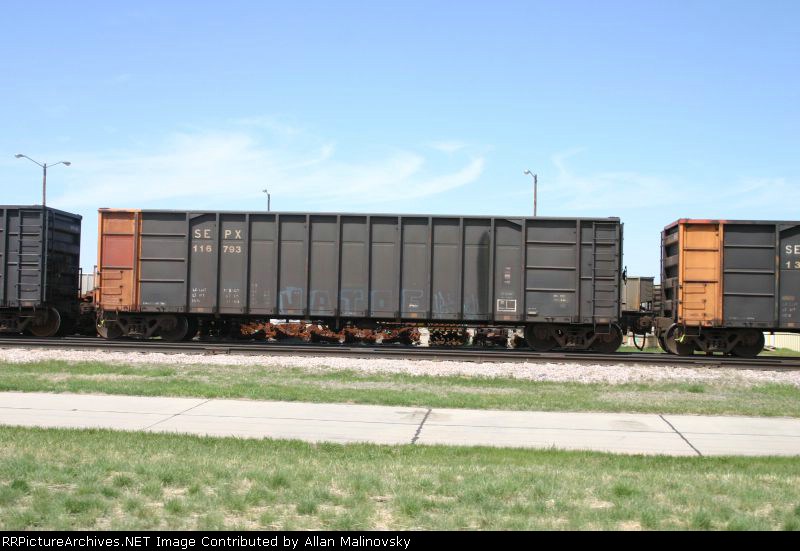 SEPX 116793