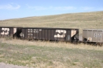 BN 533395