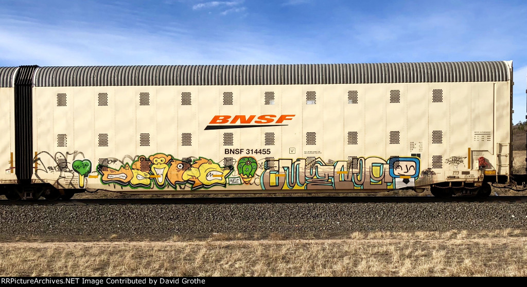 BNSF 314455