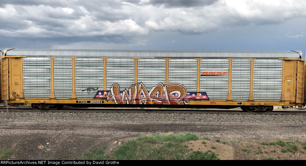 TTGX 965584