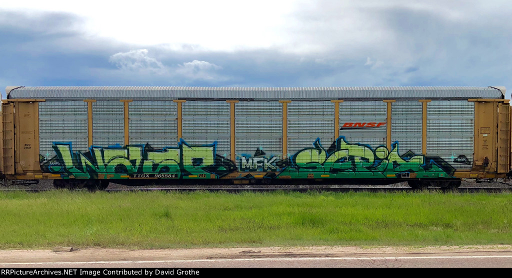 TTGX 965584