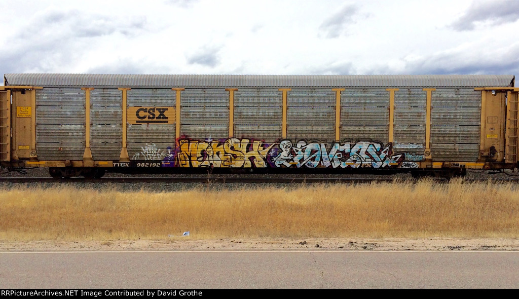 TTGX 982192