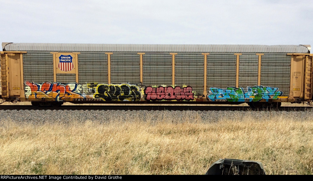TTGX 987286