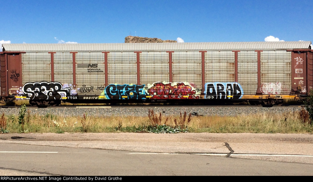 TTGX 993170