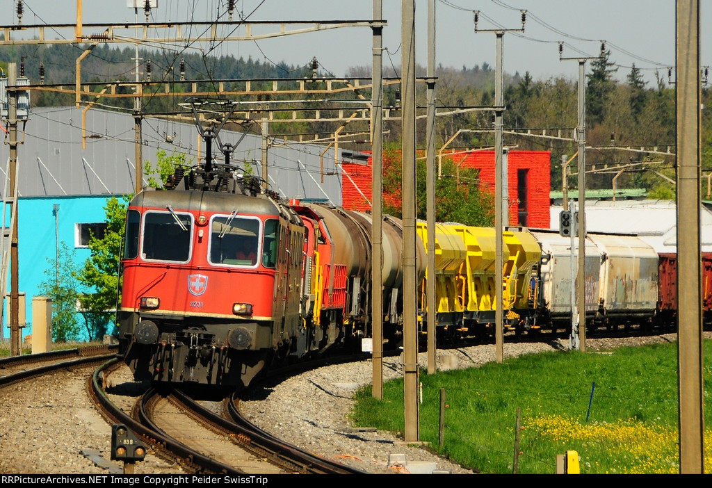 Image showcasing Freight trains to Gotthard Base Tunnel / Switzerland