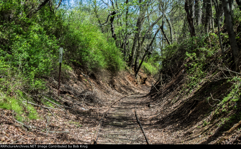 Milepost 5 cut in Orwig