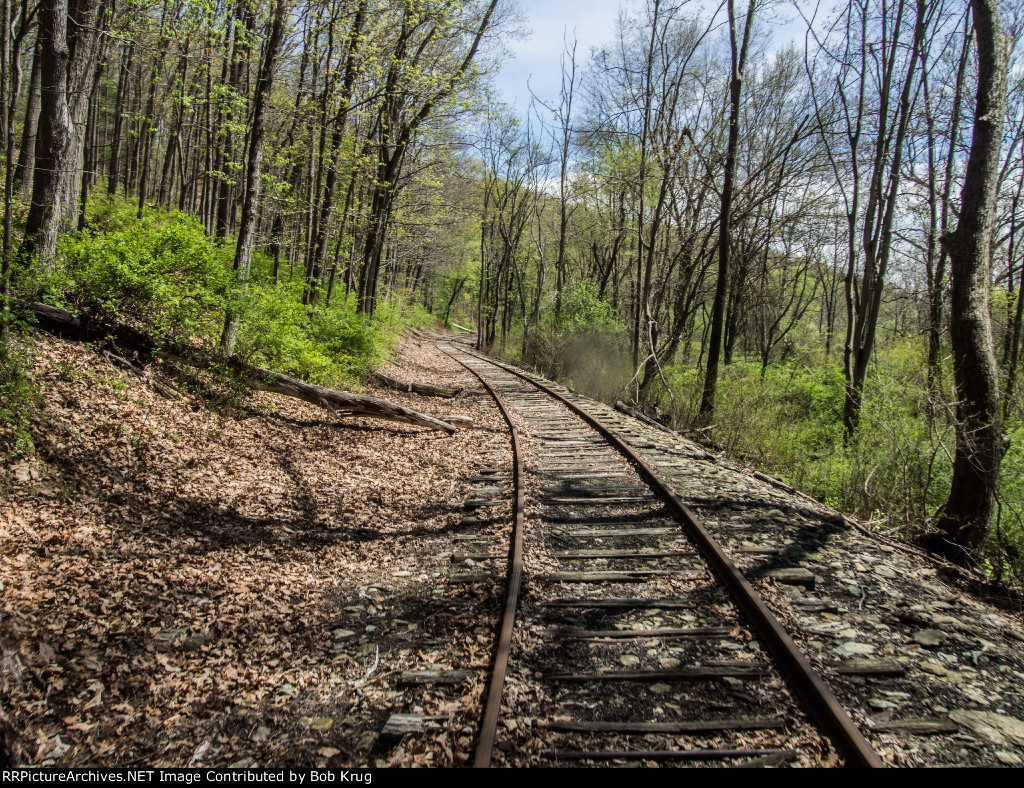 Slabbing up-grade out of the Deer Creek Valley